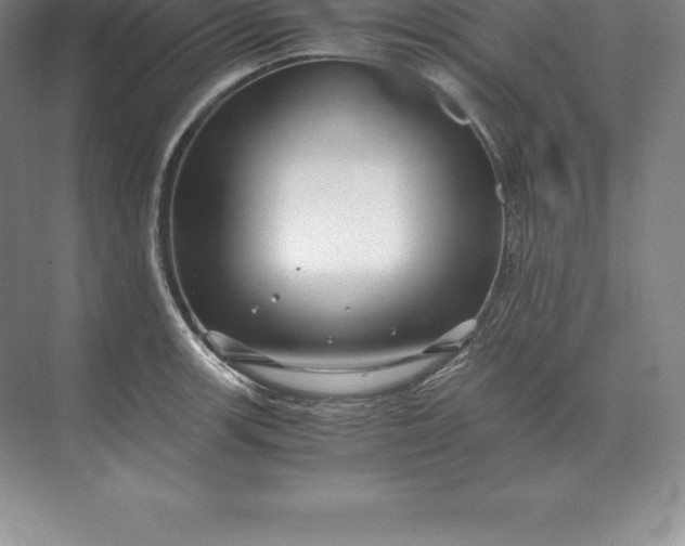 X0000071381139200607071835