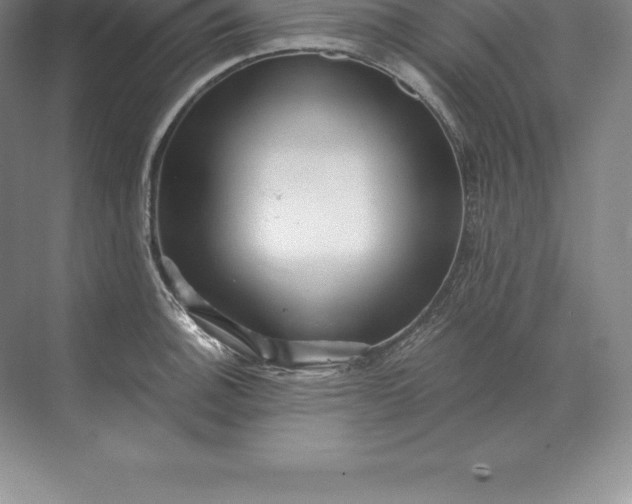 X0000071381140200607071835