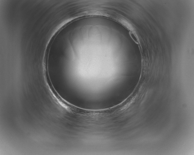 X0000071381141200607071835