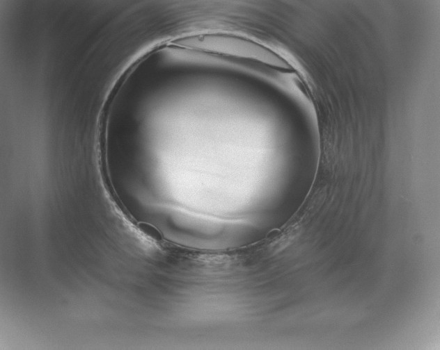 X0000071381142200607071835