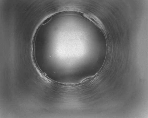 X0000071381144200607071835