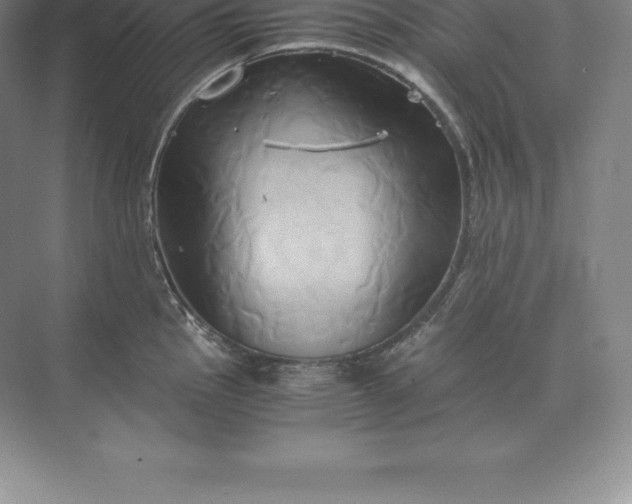 X0000071381145200607071835