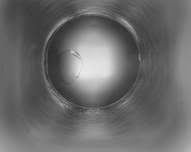 X0000071381146200607071835