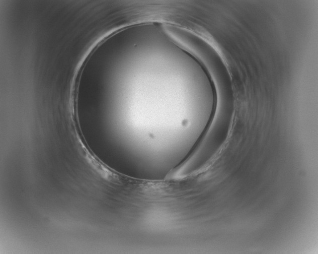 X0000071381148200607071835