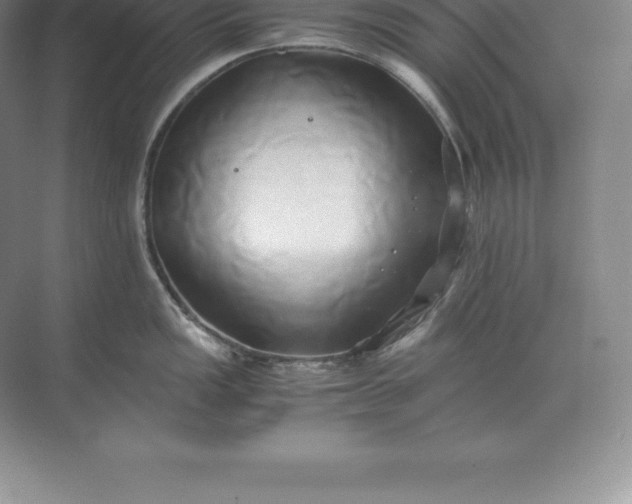 X0000071381149200607071835