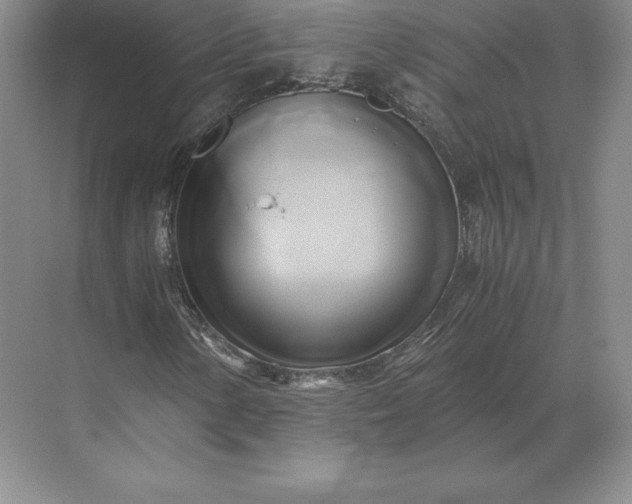 X0000071381154200607071834