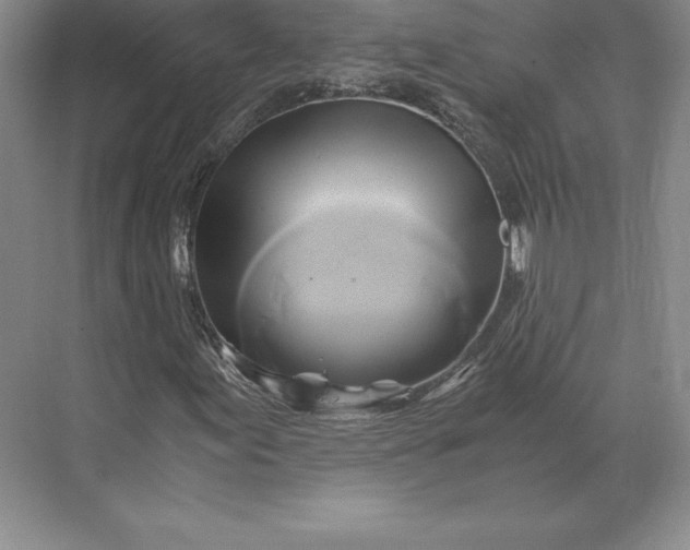 X0000071381155200607071834