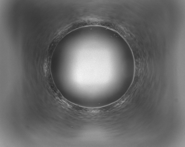 X0000071381157200607071834