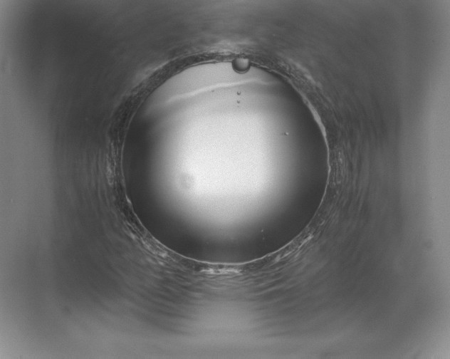 X0000071381158200607071834