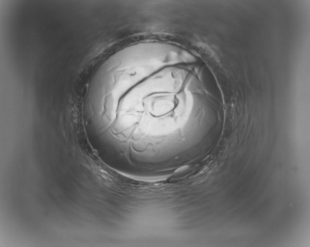 X0000071381159200607071834