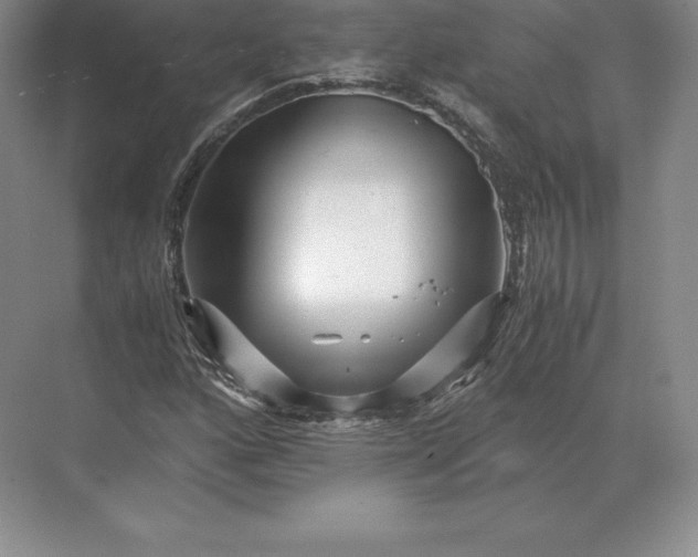 X0000071381160200607071834