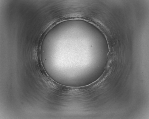 X0000071381162200607071834