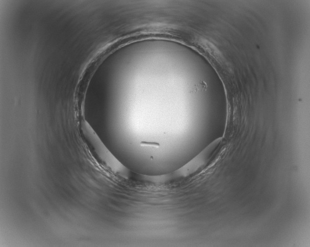 X0000071381164200607071834