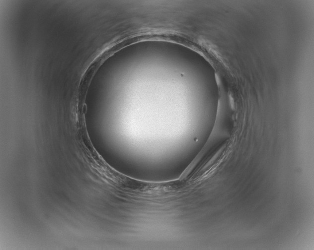 X0000071381165200607071834