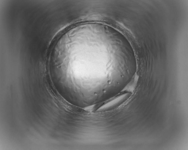 X0000071381166200607071834