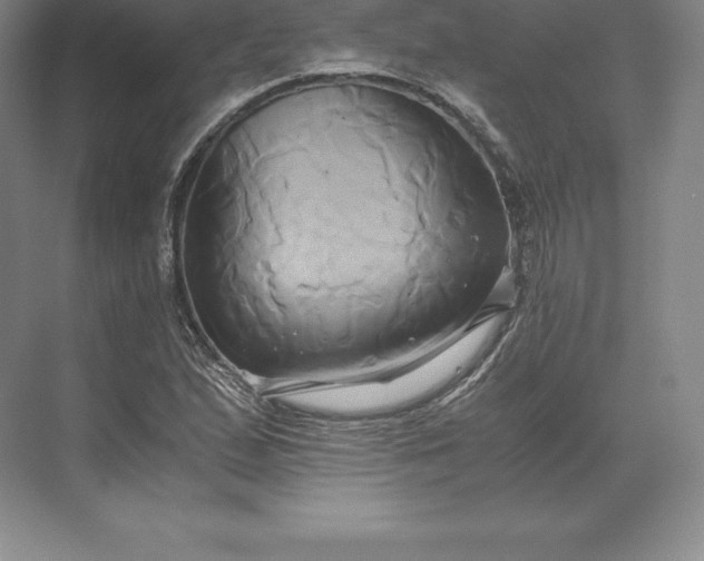 X0000071381167200607071834