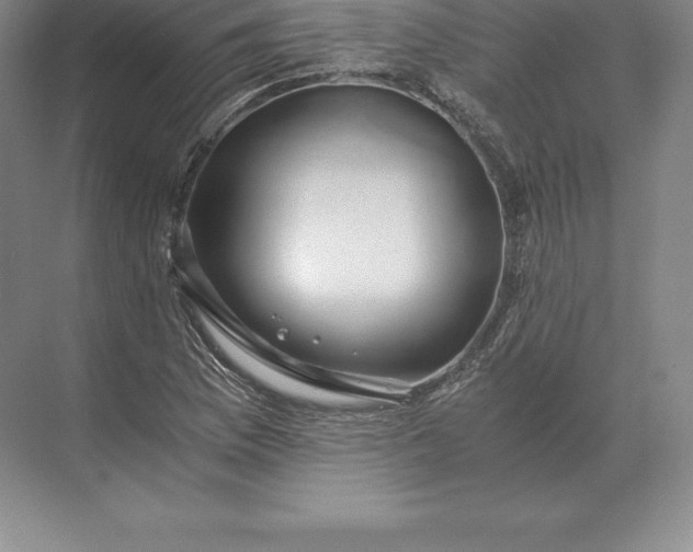 X0000071381169200607071834