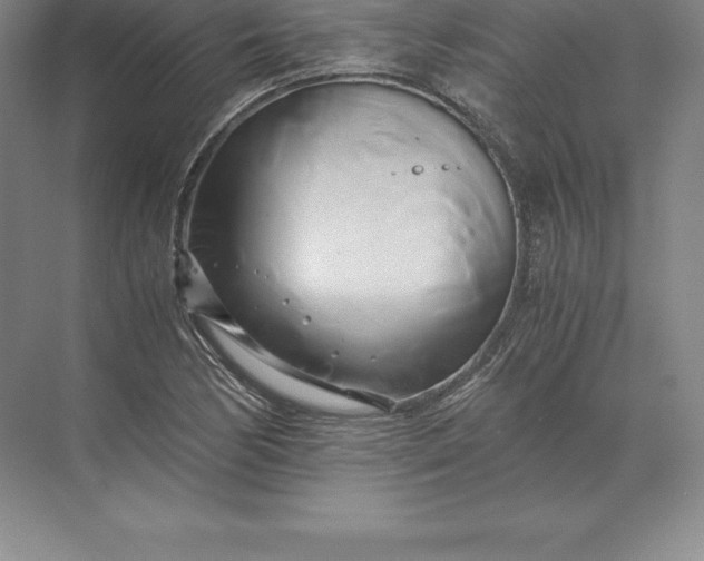 X0000071381170200607071834