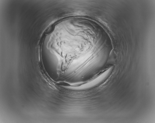 X0000071381171200607071834