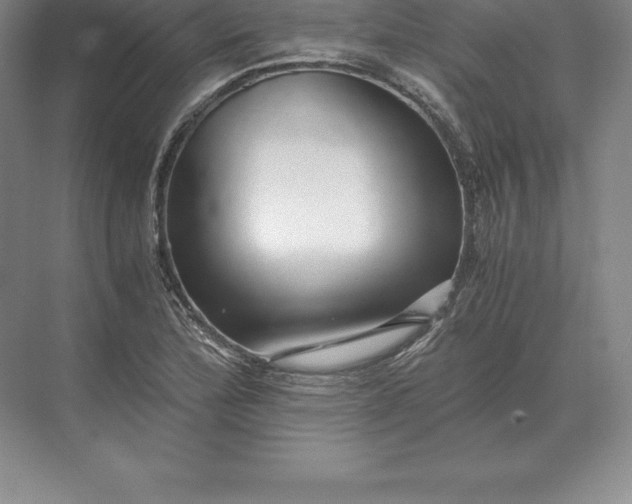 X0000071381172200607071834