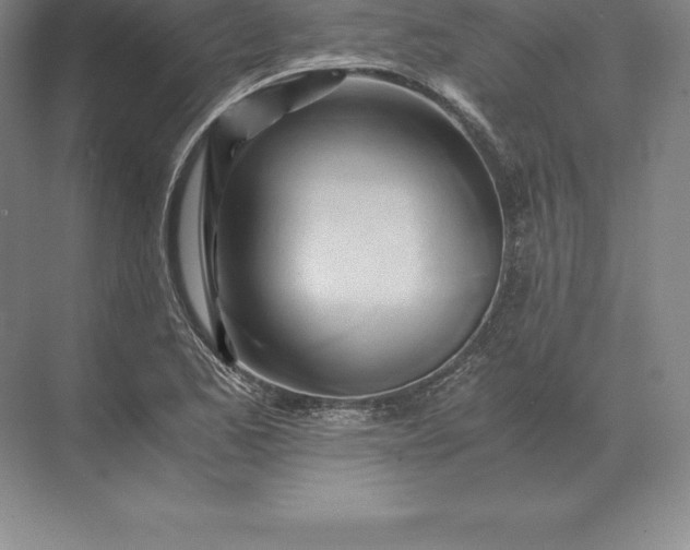 X0000071381173200607071834