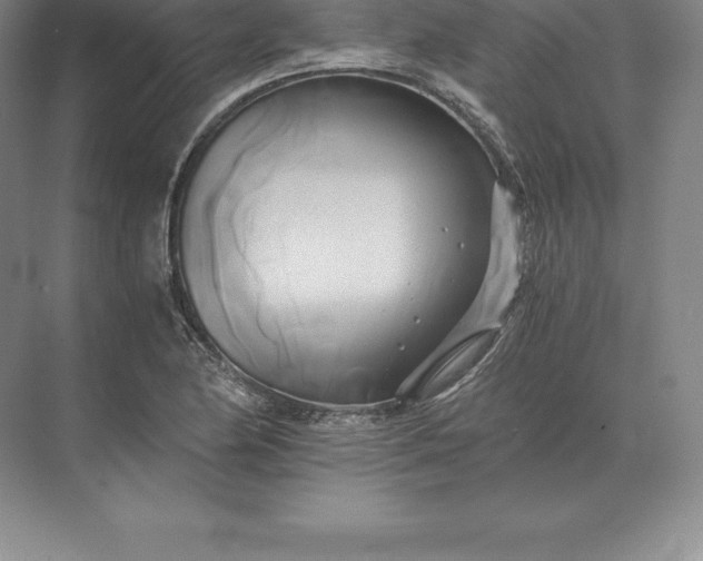 X0000071381174200607071834