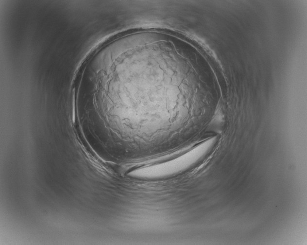 X0000071381175200607071834