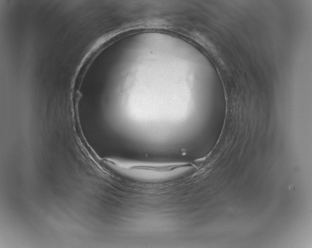 X0000071381176200607071834