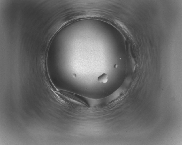 X0000071381177200607071834