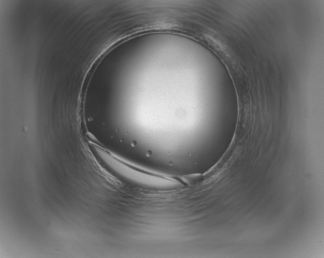 X0000071381178200607071834