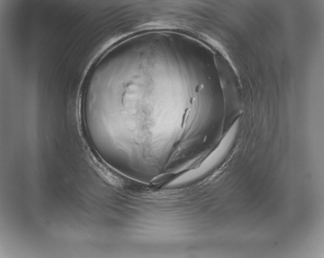 X0000071381179200607071834