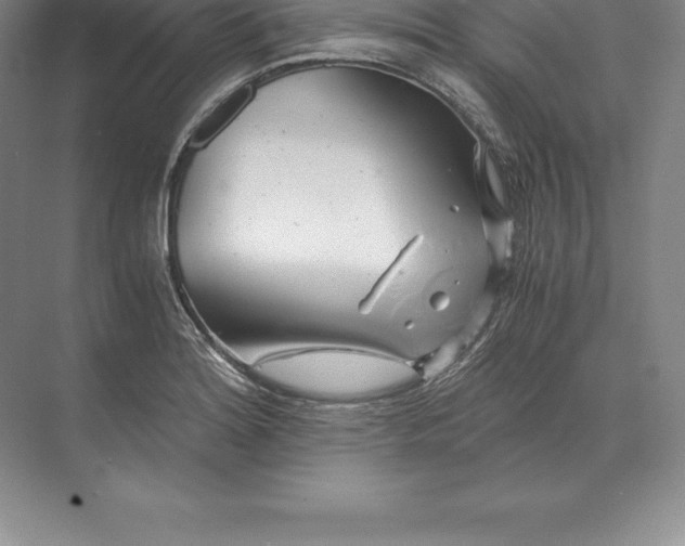 X0000071381180200607071834