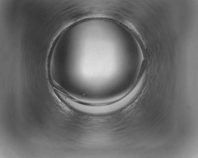 X0000071381181200607071834