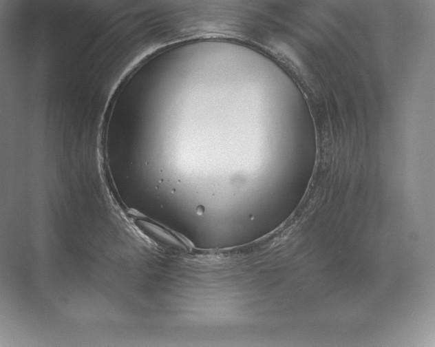 X0000071381182200607071834