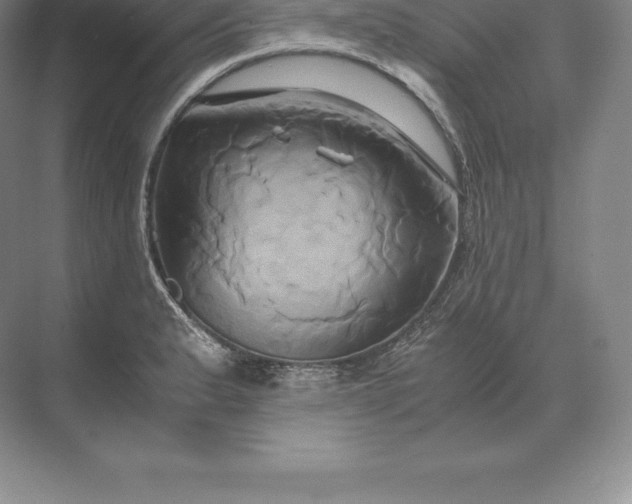 X0000071381183200607071834