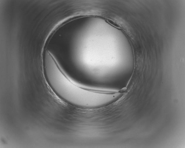 X0000071381184200607071834