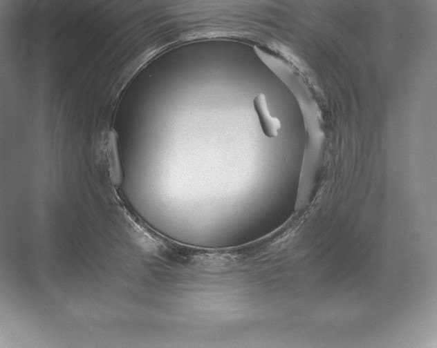 X0000071381185200607071834