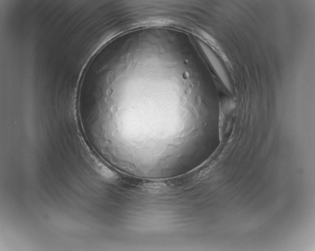 X0000071381186200607071834