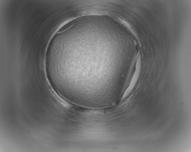 X0000071381187200607071834