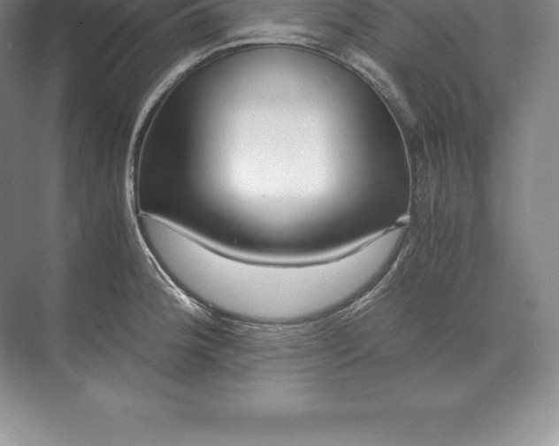 X0000071381188200607071834