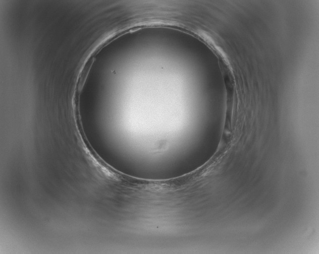 X0000071381189200607071834