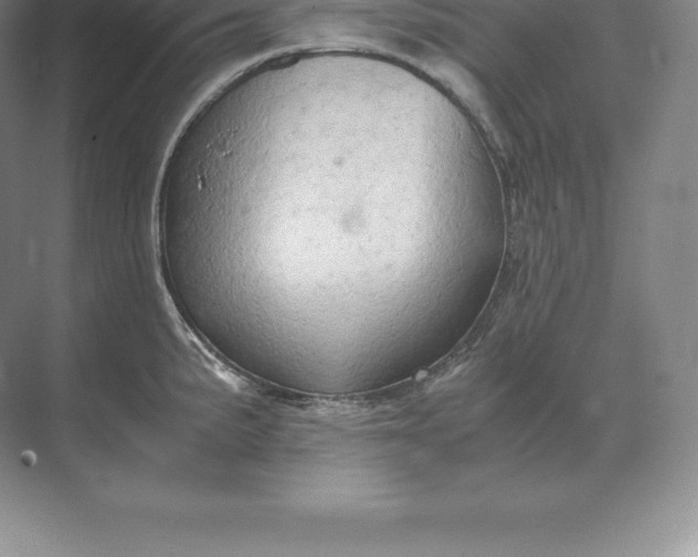 X0000071381191200607071834