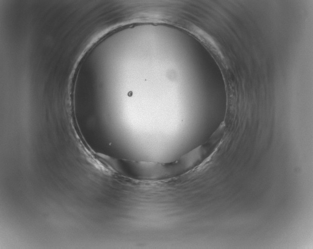 X0000071381192200607071833