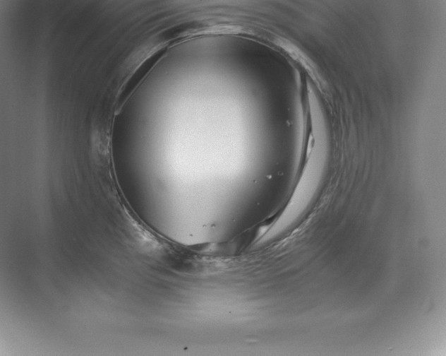 X0000071381193200607071833