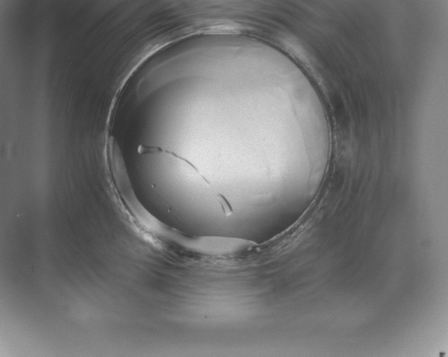 X0000071381194200607071833