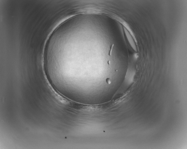 X0000071381195200607071833