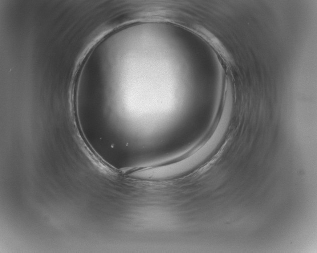 X0000071381196200607071833