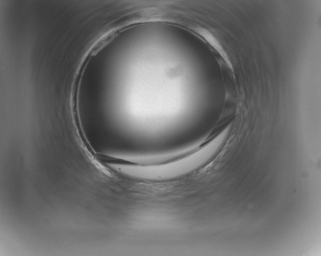 X0000071381197200607071833