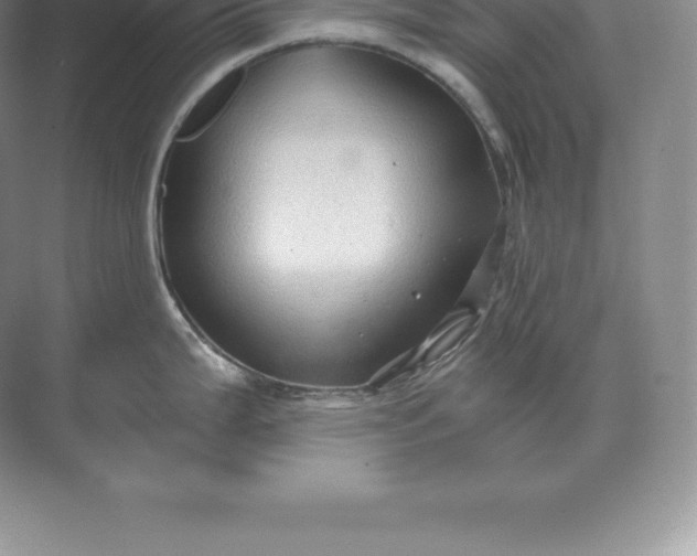 X0000071381199200607071833