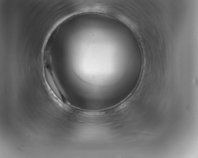 X0000071381200200607071833